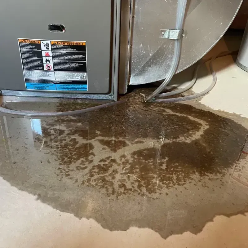 Appliance Leak Cleanup in Crandall, TX